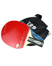 友誼729 2040雙面反膠 乒乓球拍 成品拍 送半拍套+2球