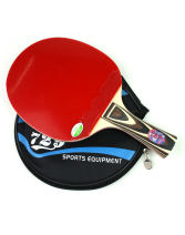 友誼729 2060雙面反膠 乒乓球拍 成品拍 送半拍套+2球