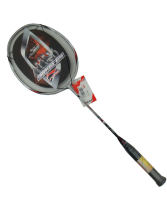 李寧 N10 (TB Nano N10)羽毛球拍（王儀涵專用羽拍）AYPF292-1