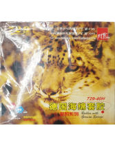 729獵豹 729-40H 德國海綿 反膠套膠