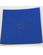 友誼729 藍海綿 訓練套膠 乒乓球膠皮