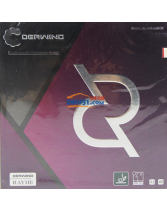 友誼729 雷赫RAYHE 乒乓球膠皮德套反膠套膠（大孔海綿 反手用也可以打透）