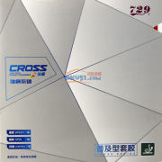 友誼729普及套 729縱橫普及套 入門(mén)乒乓球反膠套膠 729訓(xùn)練套  單片裝