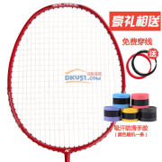 凱勝 Force T210 全碳素羽毛球拍 張力增強