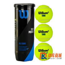 威尔胜Wilson网球 罐装有压网球3粒装 多场地专业比赛用球