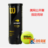 Wilson 维尔胜 US OPEN 美网专用网球 USOPEN