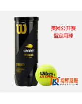 Wilson 維爾勝 US OPEN 美網專用網球 USOPEN
