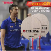 挺拔萨姆索诺夫内置纤维Fortino PRO DC INSIDE 佛迪诺乒乓球拍底板