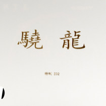YASAKA亚萨卡骁龙特制 粘性乒乓球胶皮 高弹内能反胶套胶83-032