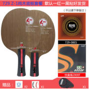 入门好控制型底板+胶皮：友谊729 Z-1+729-08es+世奥得2000F反手专用