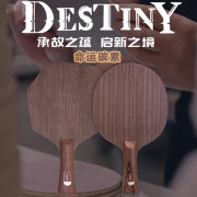 斯帝卡命運碳素DESTINY CARBONSERIES 乒乓球拍底板 純木與碳素的交融